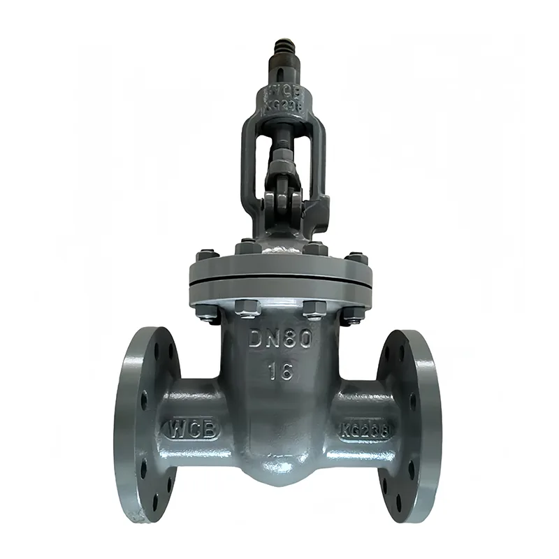 Kabòn Steel Flange Gate Valv